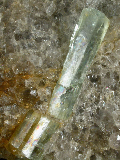 Beryl var. Aquamarine in Quartz from Slocum Beryl Prospect, East Hampton, Middlesex County, Connecticut