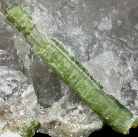 Elbaite Tourmaline in Quartz from White Rocks Quarry, Middletown, Middlesex County, Connecticut