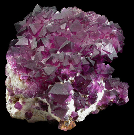 Fluorite on Quartz from Judith Lynn Claim, Pine Canyon, Grant County, New Mexico