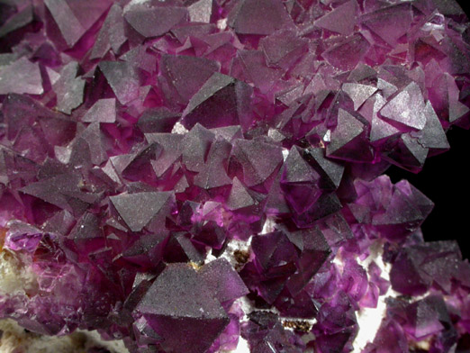 Fluorite on Quartz from Judith Lynn Claim, Pine Canyon, Grant County, New Mexico