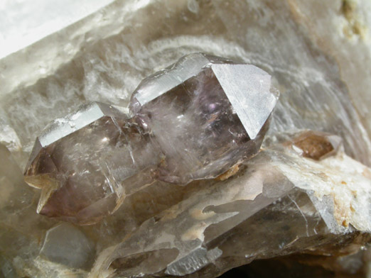 Quartz var. Amethyst on Smoky Quartz from Little Gem Mine, Upper Rader Creek, Jefferson County, Montana