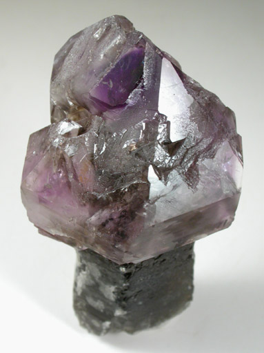 Quartz var. Amethyst-Smoky Scepter from Little Gem Mine, Upper Rader Creek, Jefferson County, Montana