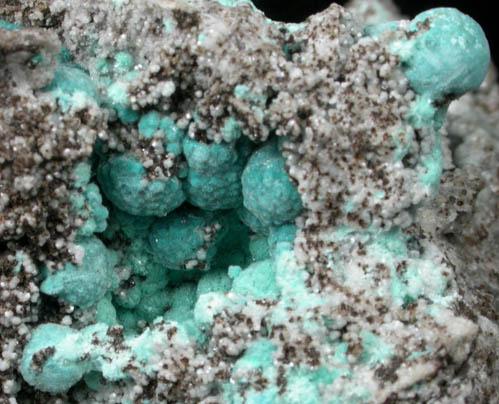 Rosasite and Smithsonite from Tom Scott Mine, Courtland-Gleeson District, Cochise County, Arizona