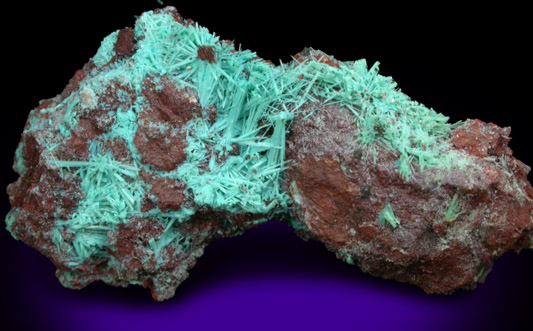 Chrysocolla from Morenci Mine, Clifton District, Greenlee County, Arizona