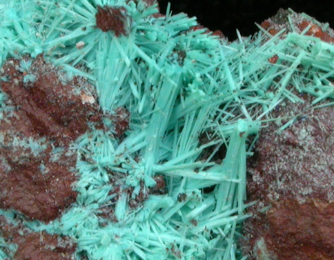 Chrysocolla from Morenci Mine, Clifton District, Greenlee County, Arizona