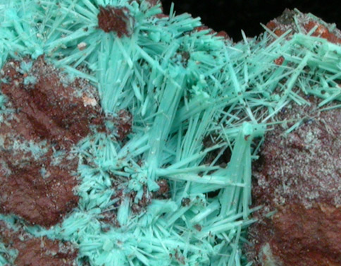 Chrysocolla from Morenci Mine, Clifton District, Greenlee County, Arizona