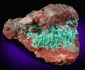 Chrysocolla from Morenci Mine, Clifton District, Greenlee County, Arizona