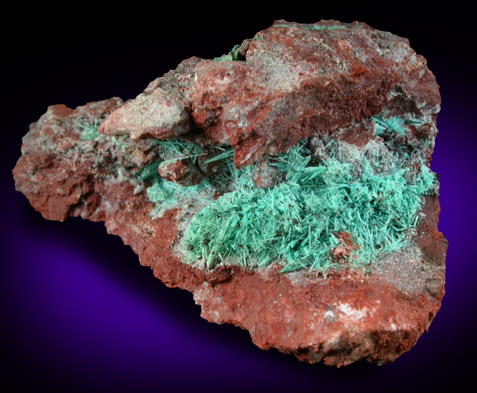 Chrysocolla from Morenci Mine, Clifton District, Greenlee County, Arizona