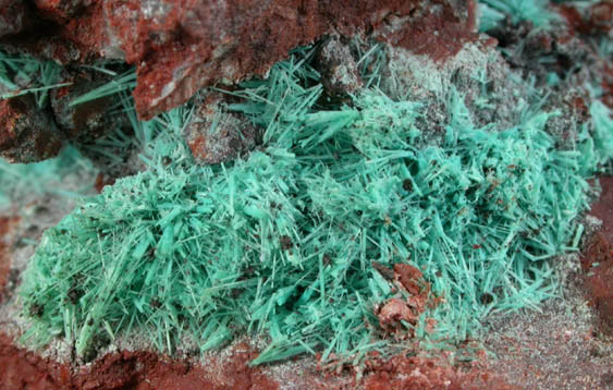 Chrysocolla from Morenci Mine, Clifton District, Greenlee County, Arizona