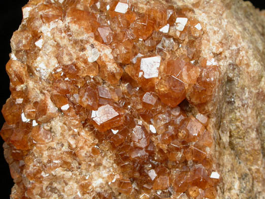 Grossular Garnet from Garnet exposure 175 m. SW of West Redding train station, Fairfield County, Connecticut