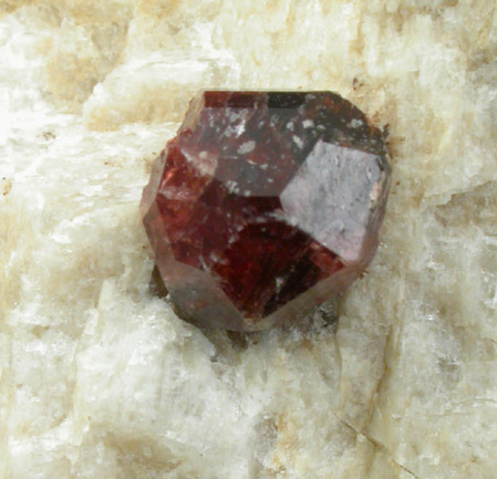 Almandine Garnet in Albite from Power line rock exposure, Topsham Feldspar District, Sagadahoc County, Maine