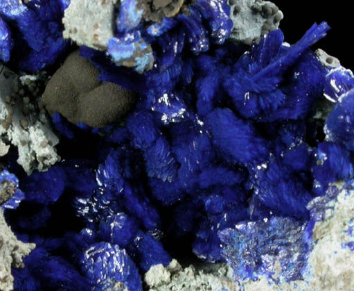 Azurite with Tenorite from Morenci Mine, Azurite Pit, Clifton District, Greenlee County, Arizona