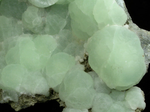 Prehnite from Millington Quarry, Bernards Township, Somerset County, New Jersey