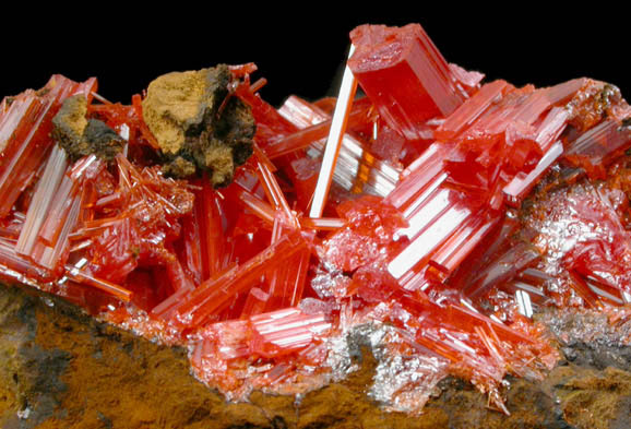 Crocoite from Dundas, Tasmania, Australia