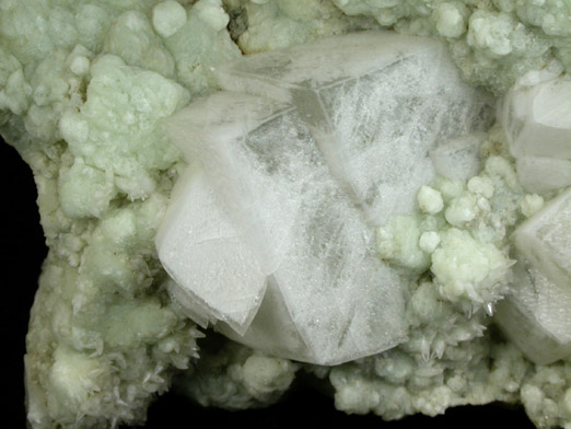 Calcite on Prehnite from Millington Quarry, Bernards Township, Somerset County, New Jersey