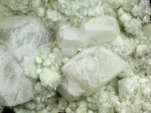 Calcite on Prehnite from Millington Quarry, Bernards Township, Somerset County, New Jersey