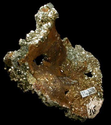 Pyrite from Leadville, Lake County, Colorado