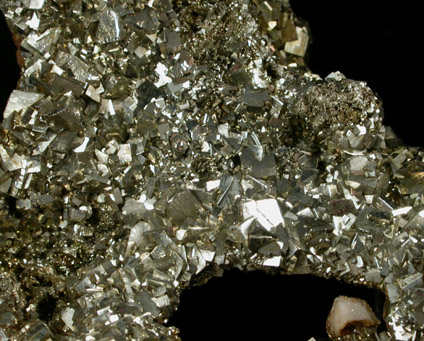 Pyrite from Leadville, Lake County, Colorado