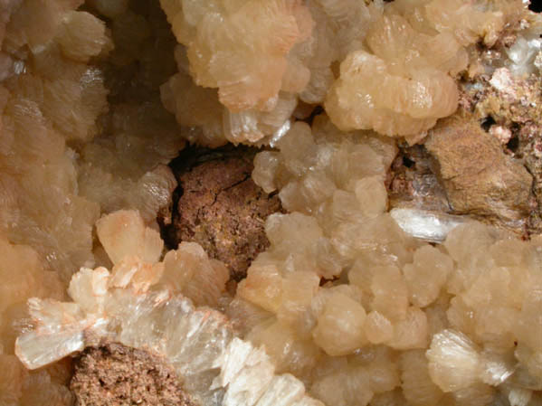 Stilbite-Ca from Cape Blomidon, Nova Scotia, Canada