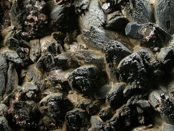 Calcite with Romanchite from Hants County, Nova Scotia, Canada