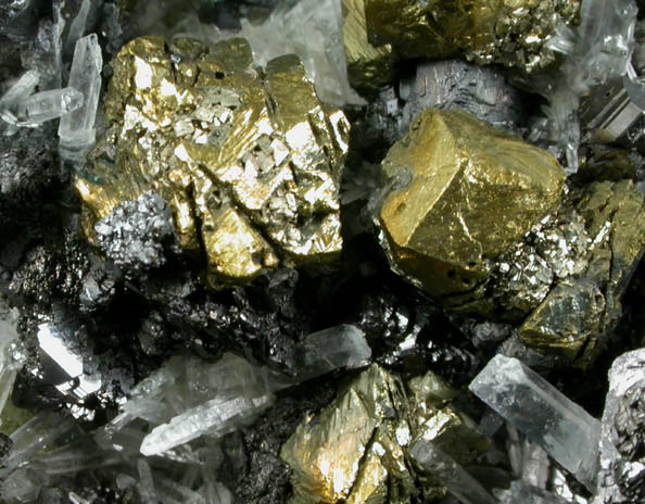 Chalcopyrite, Galena, Sphalerite, Pyrite, Quartz from Deveti Septemvri Mine, Madan District, Rhodope Mountains, Bulgaria