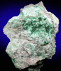 Malachite with Serpentine from Morenci Mine, Northwest Extension, Clifton District, Greenlee County, Arizona