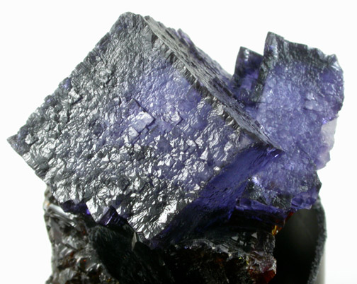 Fluorite on Sphalerite from Elmwood Mine, Carthage, Smith County, Tennessee