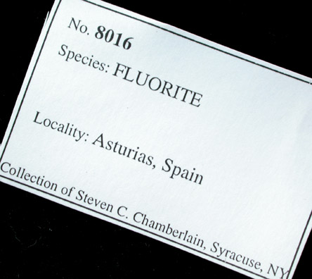 Fluorite with Pyrite from Villabona District, Asturias, Spain