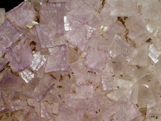 Fluorite over Barite from Caldwell Stone Quarry, Danville, Boyle County, Kentucky