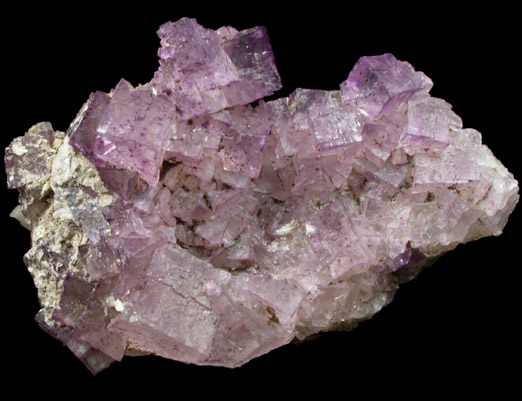 Fluorite over Barite from Caldwell Stone Quarry, Danville, Boyle County, Kentucky