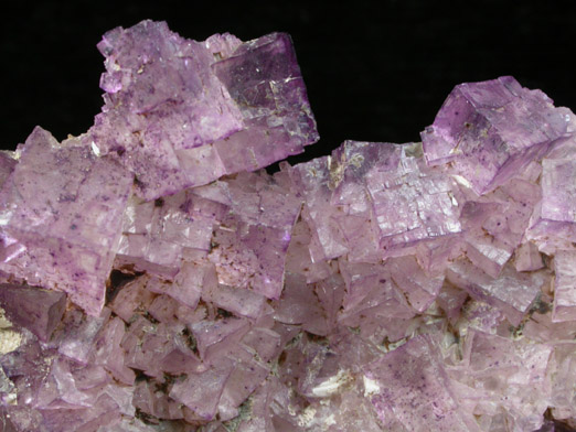 Fluorite over Barite from Caldwell Stone Quarry, Danville, Boyle County, Kentucky