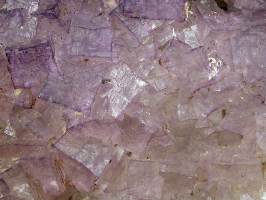 Fluorite over Barite from Caldwell Stone Quarry, Danville, Boyle County, Kentucky