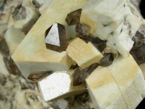 Microcline with Quartz var. Smoky from Oliver Diggings, Middle Moat Mountain, Hale's Location, Carroll County, New Hampshire