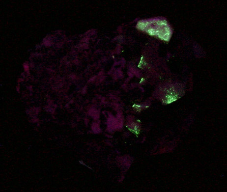 Microcline with Quartz var. Smoky from Oliver Diggings, Middle Moat Mountain, Hale's Location, Carroll County, New Hampshire