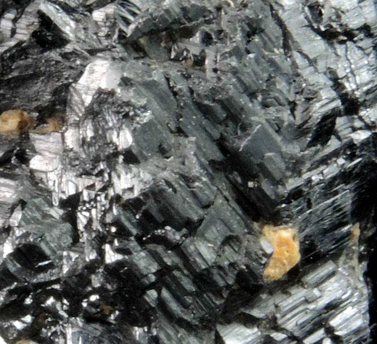 Rutile (twinned crystals) from Perovskite Hill, Magnet Cove, Hot Spring County, Arkansas