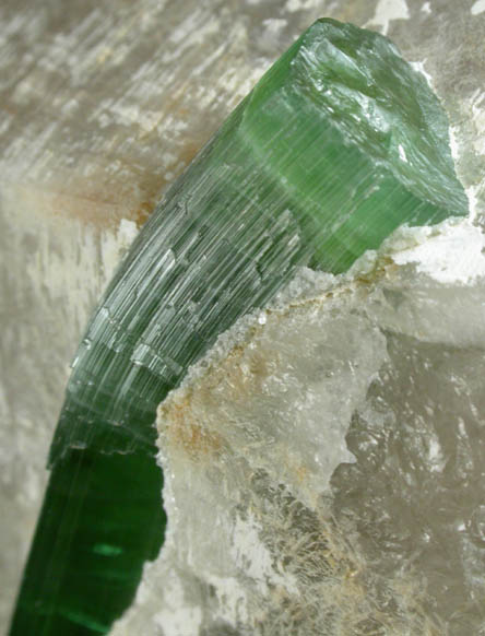 Elbaite Tourmaline in Quartz from Minas Gerais, Brazil