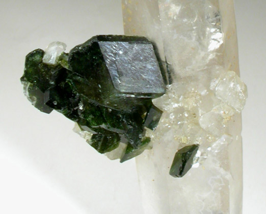 Uvite Tourmaline and Magnesite on Quartz from Brumado District, Serra das guas, Bahia, Brazil