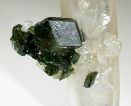 Uvite Tourmaline and Magnesite on Quartz from Brumado District, Serra das guas, Bahia, Brazil