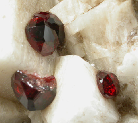 Spessartine Garnet on Microcline and Quartz from Shengus, Gilgit-Skardu Road, Gilgit-Baltistan, Pakistan