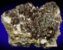 Axinite-(Fe) from St. Christophe, Bourg d'Oisans, Isère, Rhône-Alpes, France (Type Locality for Axinite-(Fe))
