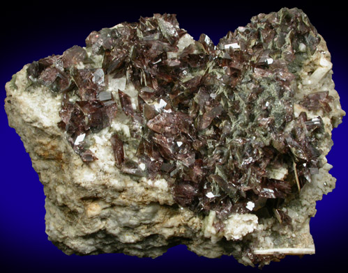 Axinite-(Fe) from St. Christophe, Bourg d'Oisans, Isre, Rhne-Alpes, France (Type Locality for Axinite-(Fe))