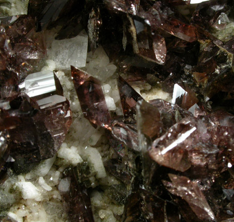Axinite-(Fe) from St. Christophe, Bourg d'Oisans, Isre, Rhne-Alpes, France (Type Locality for Axinite-(Fe))