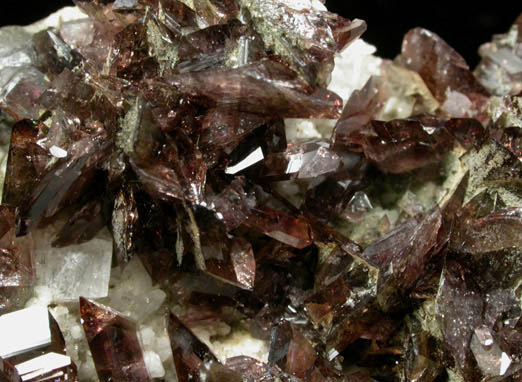 Axinite-(Fe) from St. Christophe, Bourg d'Oisans, Isre, Rhne-Alpes, France (Type Locality for Axinite-(Fe))