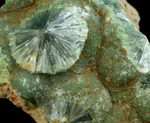 Wavellite from Mauldin Mountain, Montgomery County, Arkansas