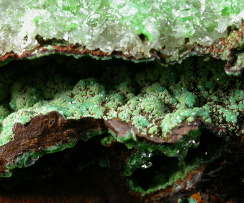 Calcite with Conichalcite inclusions from Mina Ojuela, Mapimi, Durango, Mexico