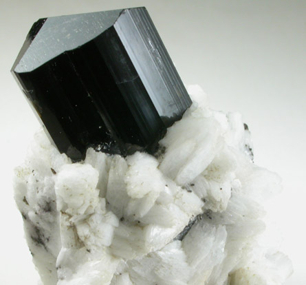 Schorl Tourmaline with Albite from Paprok, Kamdesh District, Nuristan Province, Afghanistan