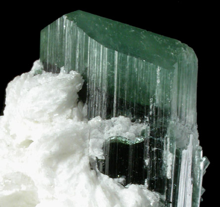 Elbaite Tourmaline with Albite from Paprok, Kamdesh District, Nuristan Province, Afghanistan