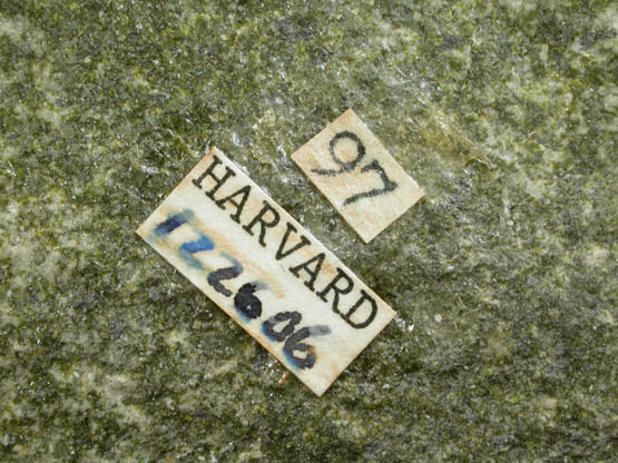 Epidote and Prehnite from Lane's Quarry, Westfield, Hampden County, Massachusetts