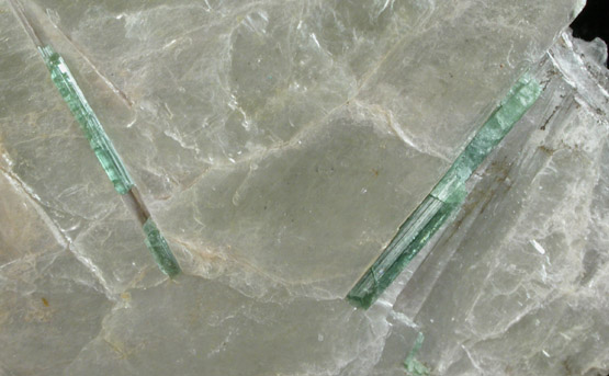 Elbaite Tourmaline in Muscovite from (Dunton Quarry, Newry), Oxford County, Maine