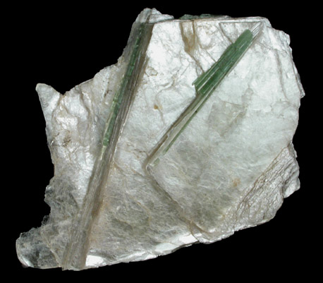 Elbaite Tourmaline in Muscovite from (Dunton Quarry, Newry), Oxford County, Maine